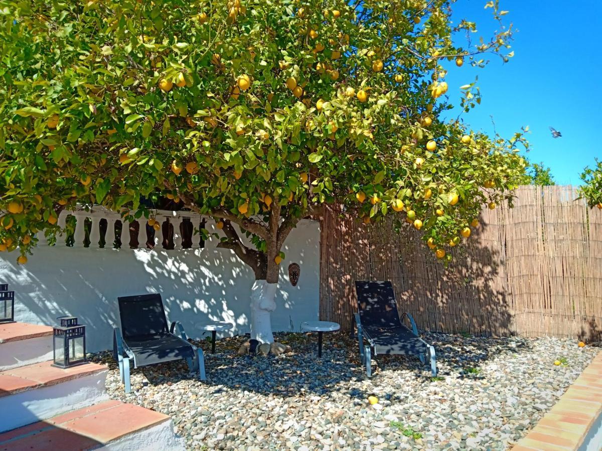 Finca Rayo Del Sol Alhaurín el Grande Εξωτερικό φωτογραφία