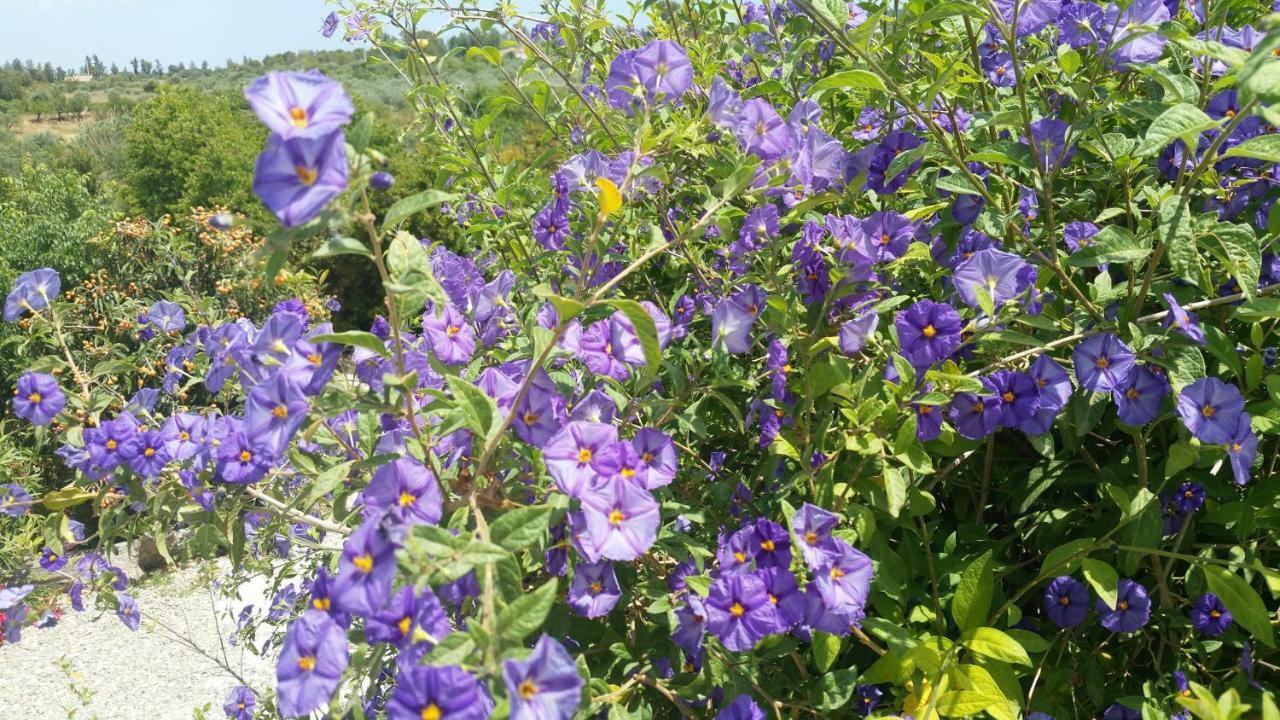 Finca Rayo Del Sol Alhaurín el Grande Εξωτερικό φωτογραφία